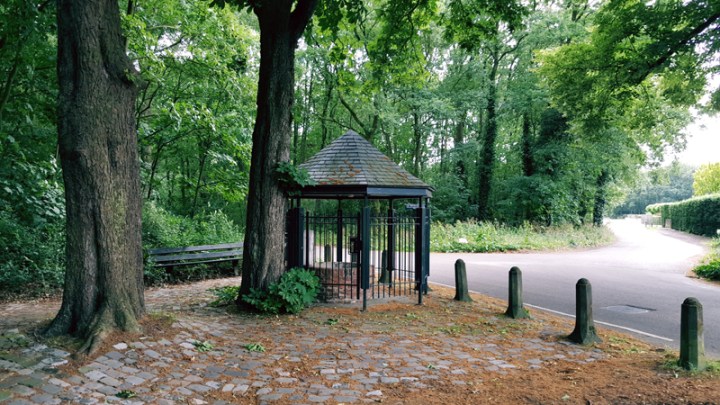 willibrordusputjeoss